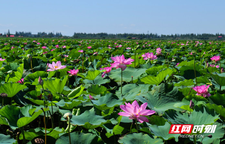 岳阳：从“看球”到“入戏”，一座江湖名城的沉浸式邀约