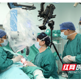 湘雅医院创新使用吻合血管的髂骨瓣移植术 为百位患者成功保髋