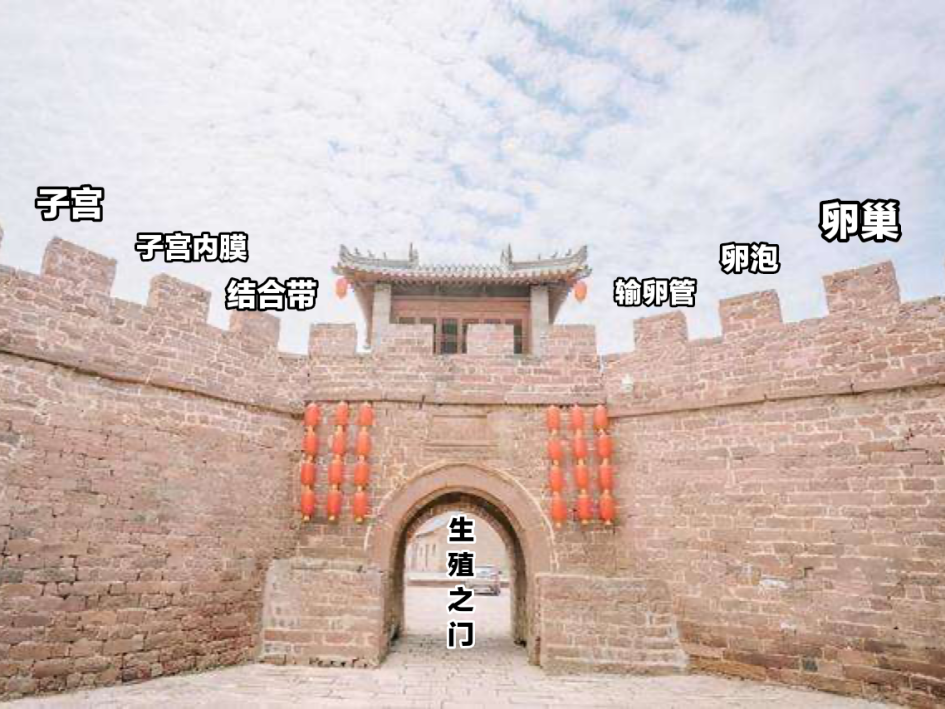 图片6.png