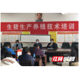怀化市沅陵交通问题顽疾及马路市场整治成效显著