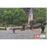 美化家园，洪江区志愿者在行动！
