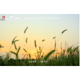 怀化“森”呼吸｜“绿丝带城市公益林活动”全城启动