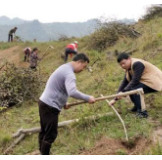 沅陵:春种希望盼丰收