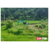 洪江区茅头园村抛荒地复垦复耕下“狠功”