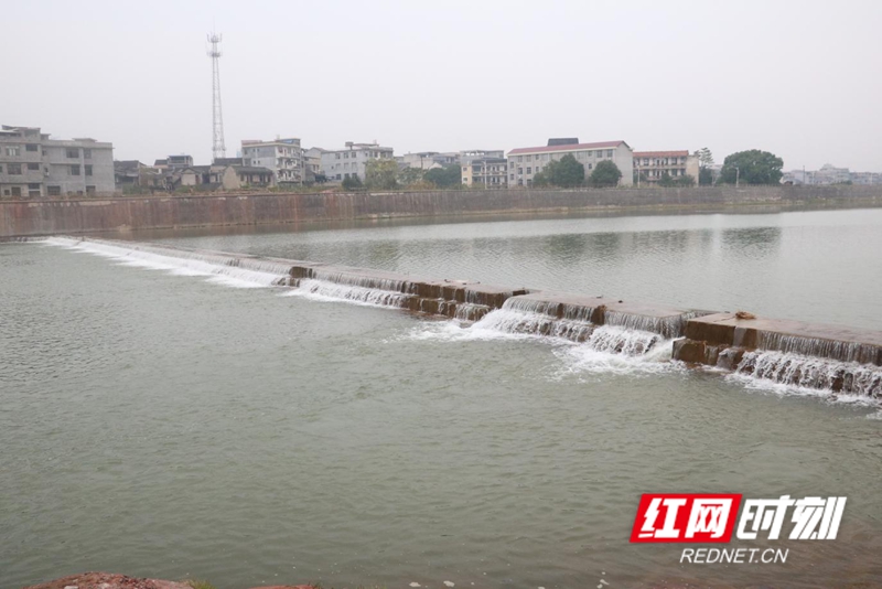 图片4.jpg 图片4.jpg