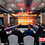 两会•第一现场 | 畅所欲言 共谋发展 辰溪代表团审议现场气氛热烈
