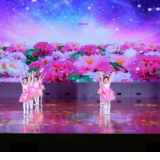 怀化市举办“艺星向党”社会艺术水平考级成果展演