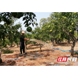 洪江市老干部服务中心：干部作风大变样   帮扶乡村创实绩