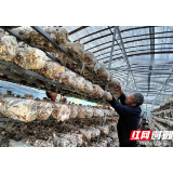 芷江：做好“四篇文章” 着力壮大村级集体经济