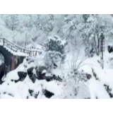 视频丨堪比“北国风光”的怀化雪峰山雪景