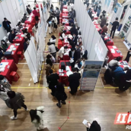 广撒“英雄帖” 怀化邀你来——“智汇潇湘”怀化招才引才高校行启动