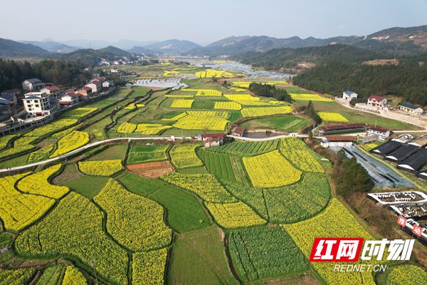 春风吹拂黄金坳，奋楫笃行振乡村，3月13日，怀化市摄影家协会志愿者前往鹤城区黄金坳镇乡村进行采风创作。