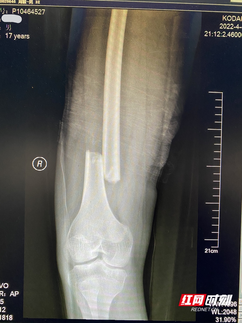 图片8.jpg 图片8.jpg