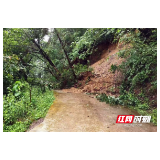 杜家坪乡暴雨来袭  党员干部齐行动