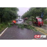 辰溪遭受暴雨袭击 公路部门全力排险保畅通