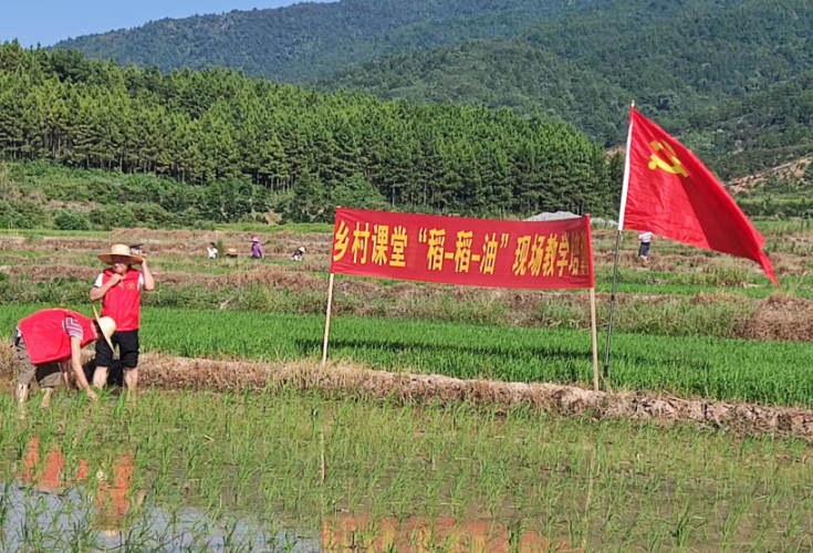 “暑”实有趣④ | “乡”约盛夏 在希望的田野上绽放青春