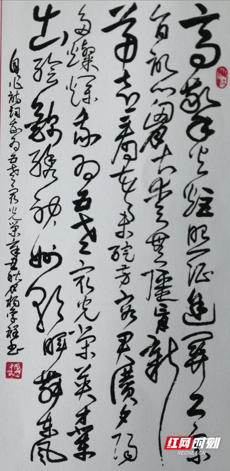 图片2.jpg 图片2.jpg