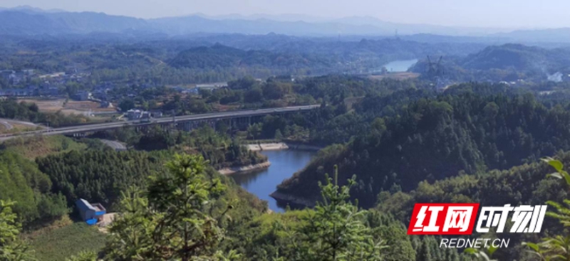 图片3.jpg 图片3.jpg