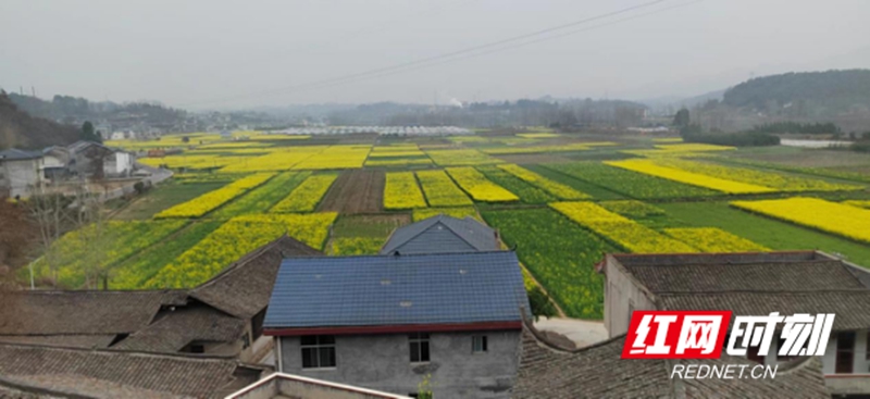 图片4.jpg 图片4.jpg