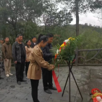 通道：清明祭哀思 精神永传承