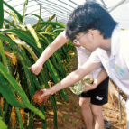 沅水载情  田野筑梦——湖南师范大学文学院暑期社会实践活动综述