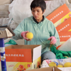 “桃”醉盛夏   麻阳黄桃销售已达3.5万吨