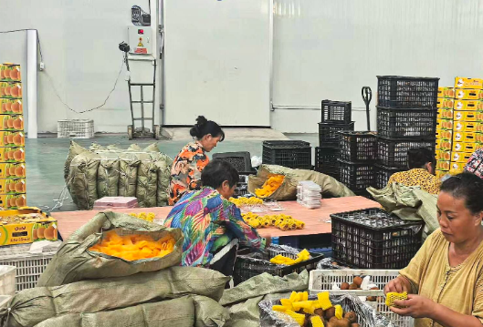 怀化加快特色农产品“出海”步伐