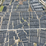 初冬耕沃土,蓄力谱新篇——新晃扶罗镇特色农业发展札记