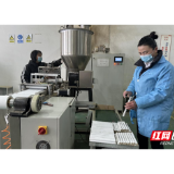 靖州：“艾” 上加工忙 产业发展旺