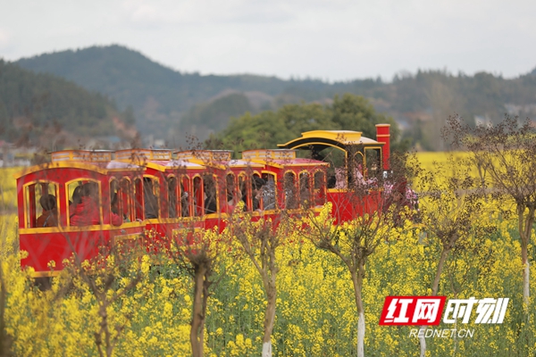 eb7285f3dde872bb09d2b5c0259bf6c.jpg eb7285f3dde872bb09d2b5c0259bf6c.jpg