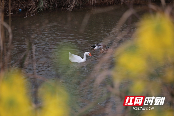 da180ff2e9195d2ce81e16c764d1048.jpg da180ff2e9195d2ce81e16c764d1048.jpg