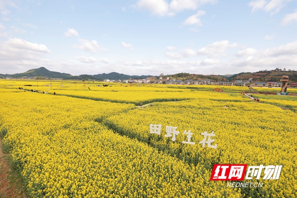 2cc26b07df512a8942c3bae8670fa56.jpg 2cc26b07df512a8942c3bae8670fa56.jpg