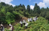 湖南医药学院药学院药用植物野外教学实践活动落幕