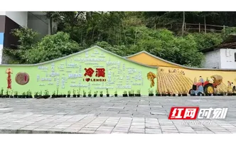 中方县新建镇康龙村：村民自治＋政府引导 助力乡村“颜值”变“产值”