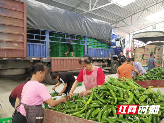 微信图片_20200813145051_副本_副本.png