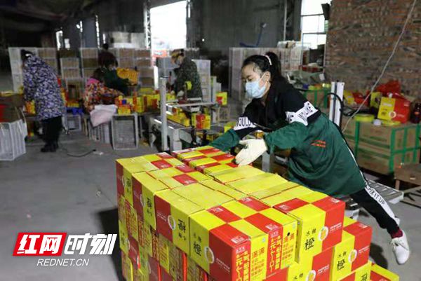 微信图片_20201128171106_副本.jpg 微信图片_20201128171106_副本.jpg