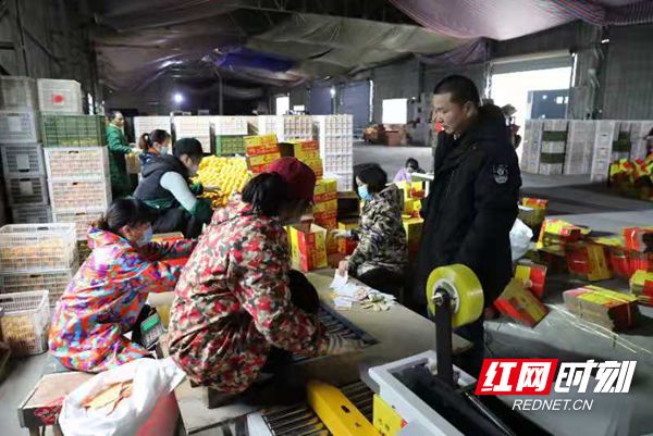 微信图片_20201128171103_副本.jpg 微信图片_20201128171103_副本.jpg