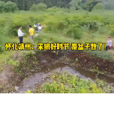 湖南靖州：采摘好时节 覆盆子熟了！
