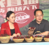洪江市：市长直播带货，托口杨梅成交130余万元