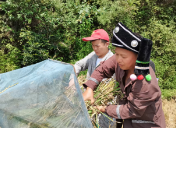 图片新闻 | 志愿者来帮忙 民族团结一家亲