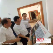 通道:让红色文化成为乡村振兴的重要力量