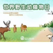 世界野生动植物日，一起行动！