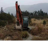 中方县：千亩撂荒耕地长出新庄稼