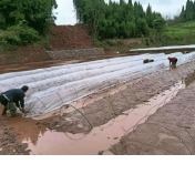区县新闻 | 怀化辰溪：“三保”奏响春耕备耕“进行曲”
