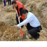 芷江法院：守护绿水青山 助力乡村振兴