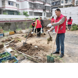 图片新闻 | 通道：整治公共阳台菜园  归还居民健身场所