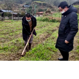 洪江区横岩乡：党员先锋挺在前 抓抢农时不负春