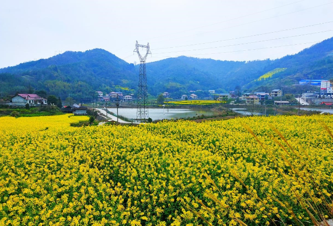 芷江公坪镇：以人居环境为“笔”，绘就清廉建设美好蓝图