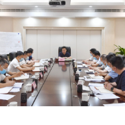 黎春秋在研究整治城市“斑点”推动城市更新工作时强调：有力有序推动城市更新 促进城市功能完善品质提升安全宜居