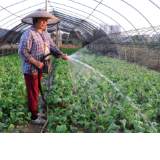 麻阳苗乡：蔬菜基地抽水抗旱忙